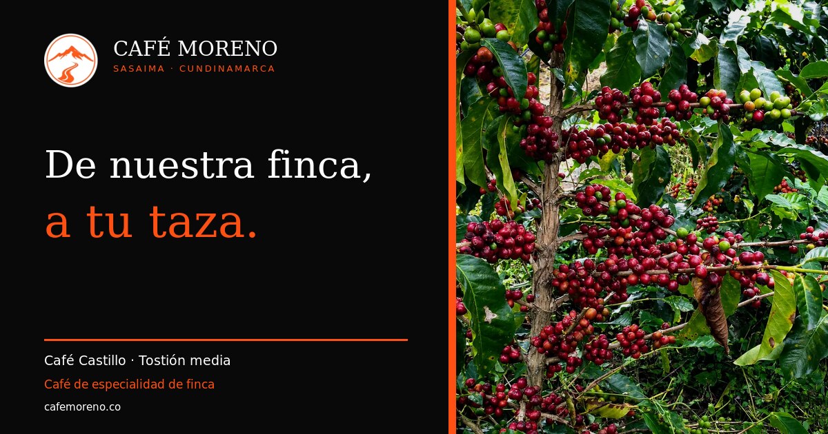 Café Moreno: de nuestra finca, a tu taza
